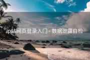 p站网页登录入门 - 数据泄露自检
