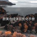 欧美在线体验优化手册