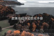欧美在线体验优化手册