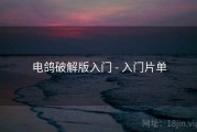 电鸽破解版入门 - 入门片单