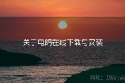 关于电鸽在线下载与安装