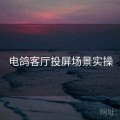 电鸽客厅投屏场景实操