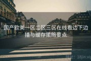 国产欧美一区二区三区在线看边下边播与缓存策略要点