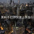 黑料不打烊快速上手指引