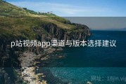 p站视频app渠道与版本选择建议