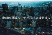 电鸽网页版入口使用踩坑与规避建议