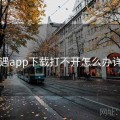 岛遇app下载打不开怎么办详解