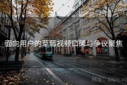 面向用户的草莓视频口碑与争议聚焦