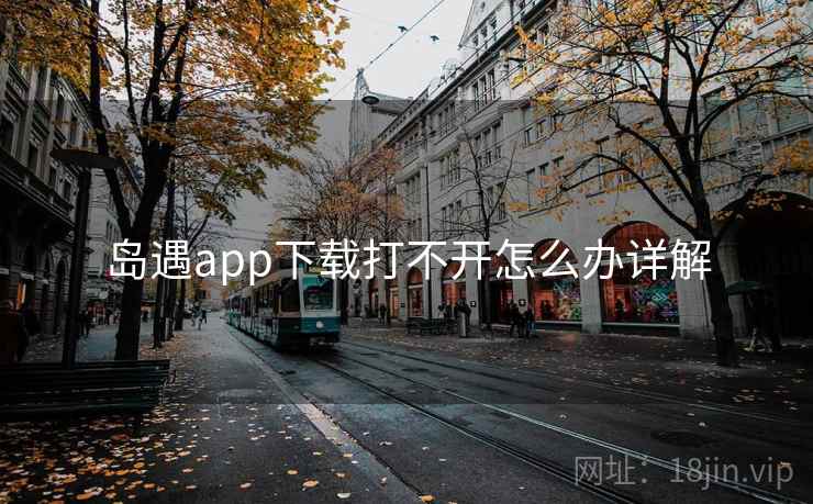 岛遇app下载打不开怎么办详解