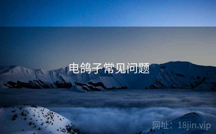 电鸽子常见问题