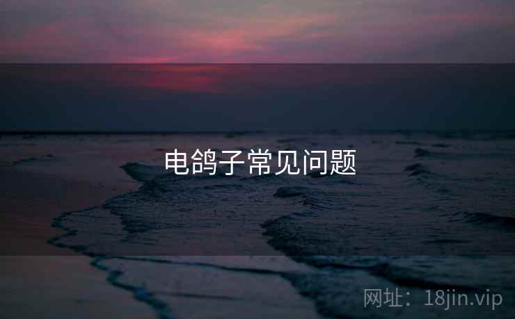 电鸽子常见问题