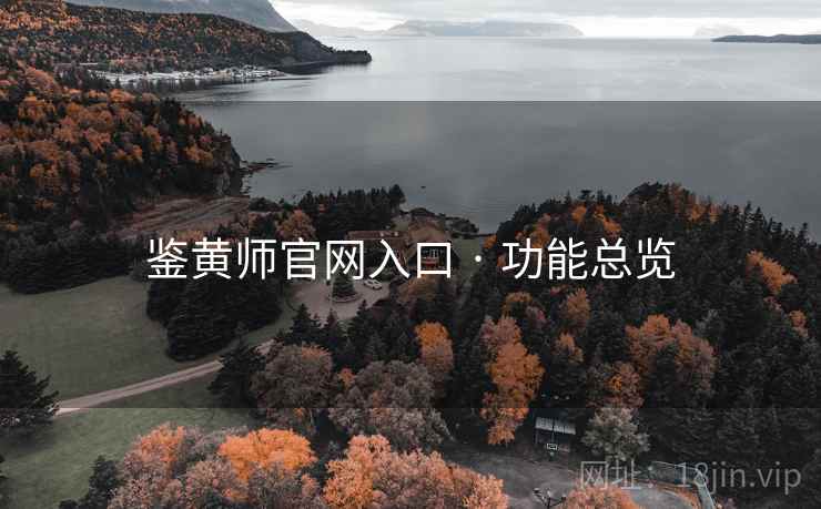 鉴黄师官网入口 · 功能总览