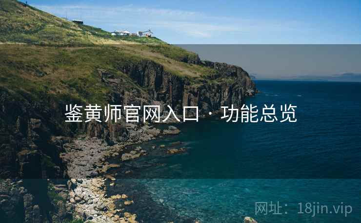 鉴黄师官网入口 · 功能总览