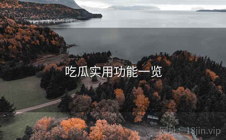 吃瓜实用功能一览