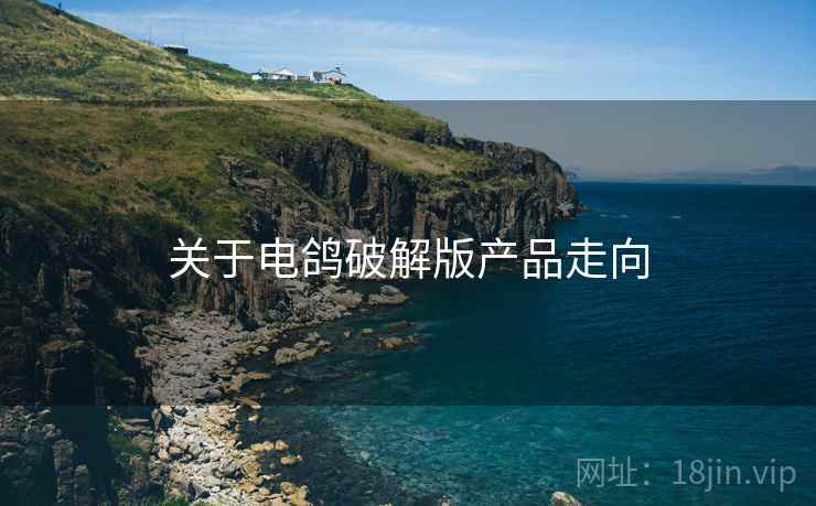 关于电鸽破解版产品走向