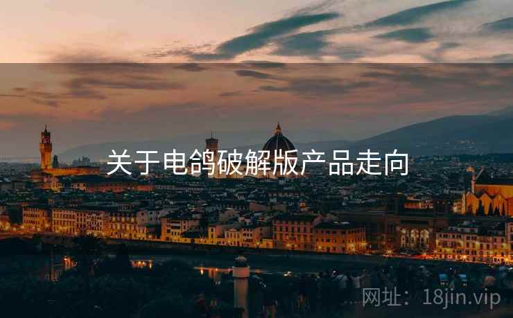 关于电鸽破解版产品走向