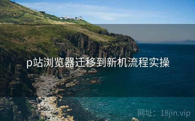 p站浏览器迁移到新机流程实操