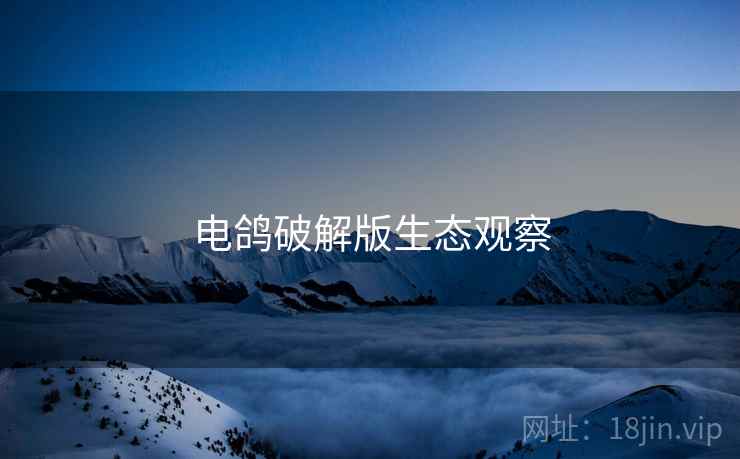 电鸽破解版生态观察