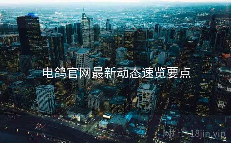 电鸽官网最新动态速览要点