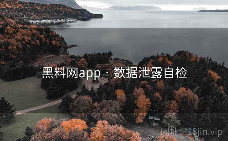 黑料网app · 数据泄露自检