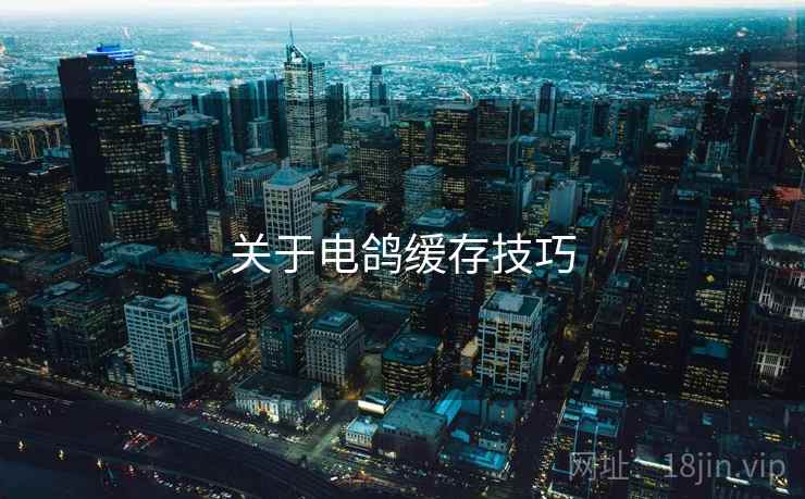 关于电鸽缓存技巧