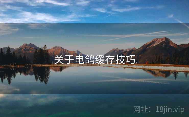 关于电鸽缓存技巧