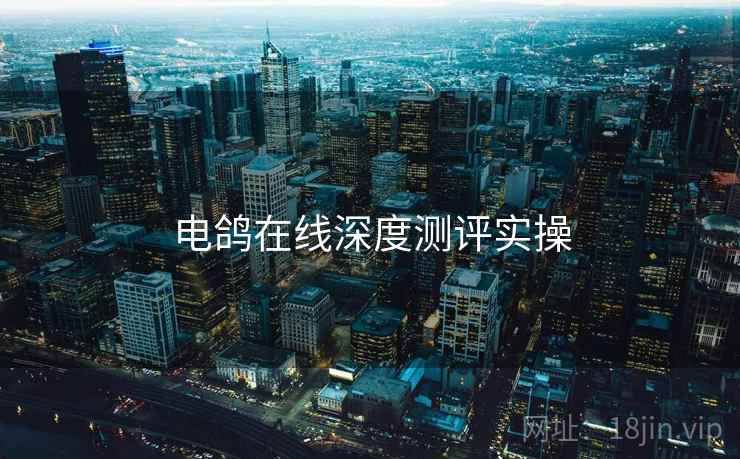 电鸽在线深度测评实操