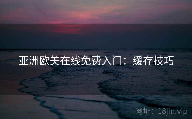亚洲欧美在线免费入门：缓存技巧