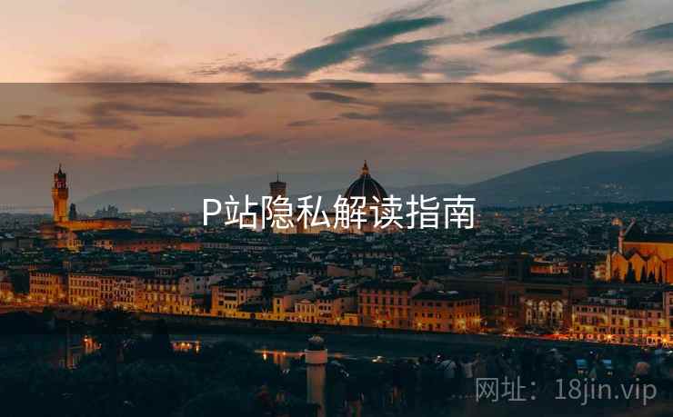 P站隐私解读指南