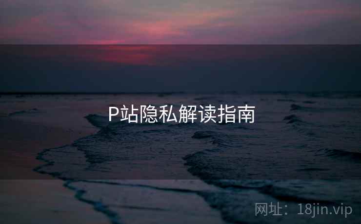 P站隐私解读指南