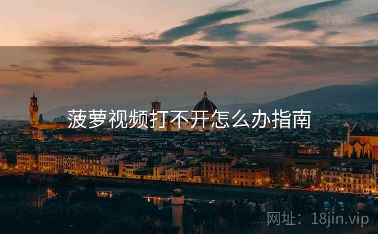菠萝视频打不开怎么办指南