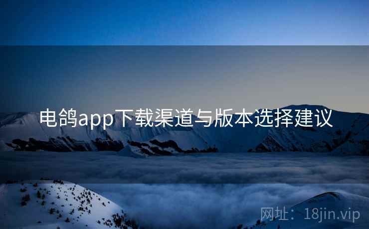 电鸽app下载渠道与版本选择建议
