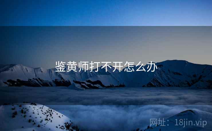 鉴黄师打不开怎么办