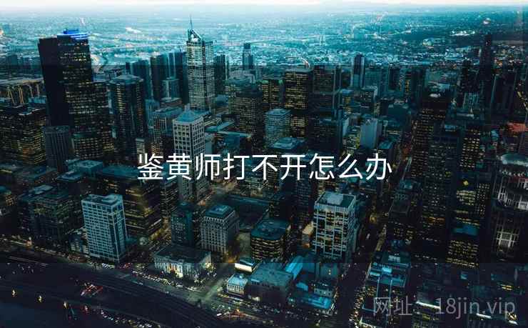 鉴黄师打不开怎么办