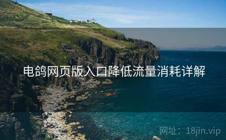 电鸽网页版入口降低流量消耗详解