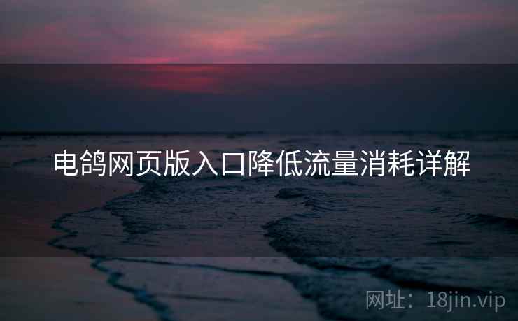 电鸽网页版入口降低流量消耗详解