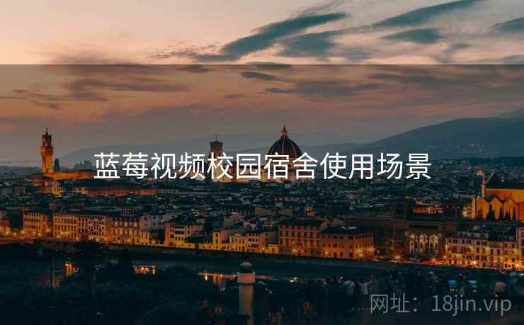 蓝莓视频校园宿舍使用场景