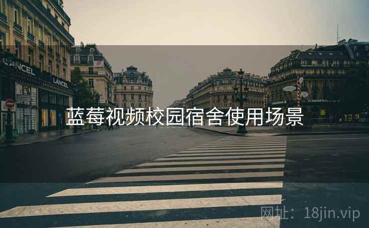蓝莓视频校园宿舍使用场景