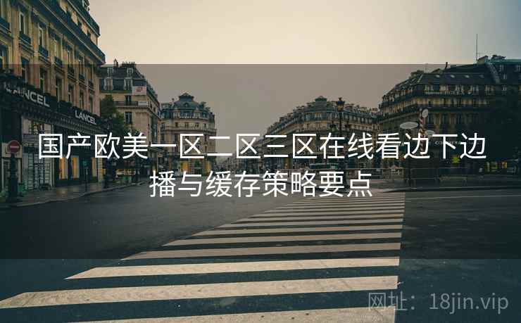 国产欧美一区二区三区在线看边下边播与缓存策略要点