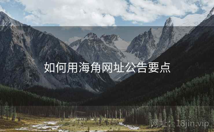 如何用海角网址公告要点