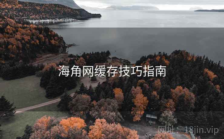 海角网缓存技巧指南