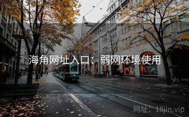 海角网址入口：弱网环境使用