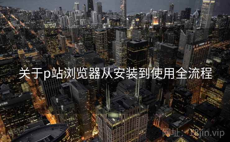 关于p站浏览器从安装到使用全流程