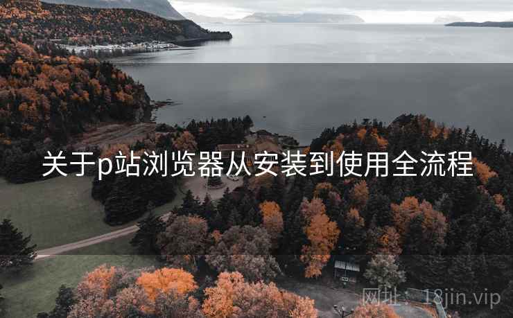 关于p站浏览器从安装到使用全流程