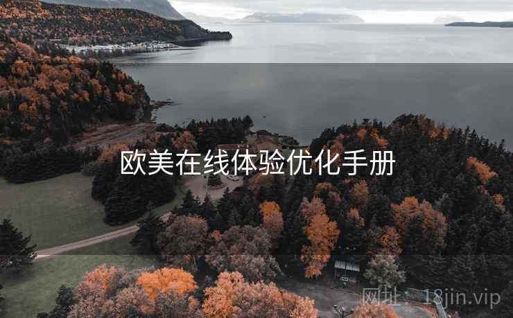 欧美在线体验优化手册