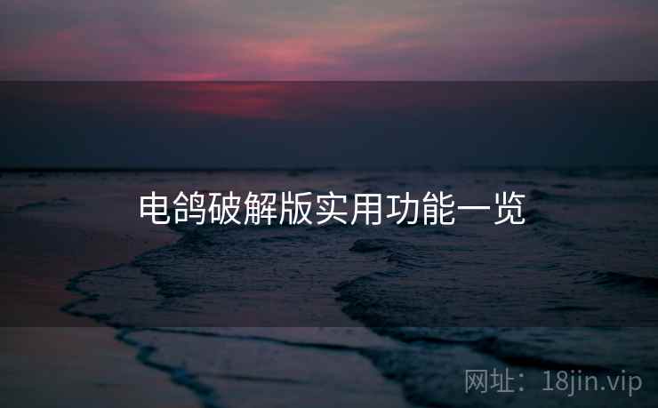 电鸽破解版实用功能一览